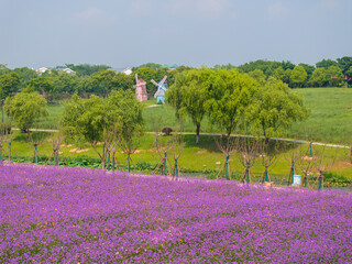 Wuhan Hua Bo Hui Scenic Spot Spring Scenery
