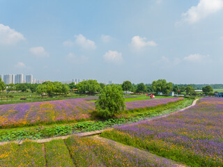 Wuhan Hua Bo Hui Scenic Spot Spring Scenery