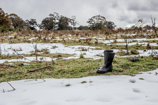 Gumboots standing in a patchy snowfall