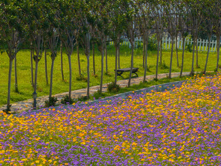 Wuhan Hua Bo Hui Scenic Spot Spring Scenery