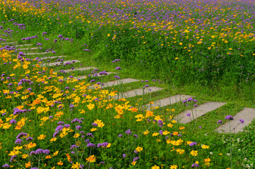Wuhan Hua Bo Hui Scenic Spot Spring Scenery