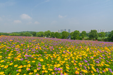 Wuhan Hua Bo Hui Scenic Spot Spring Scenery