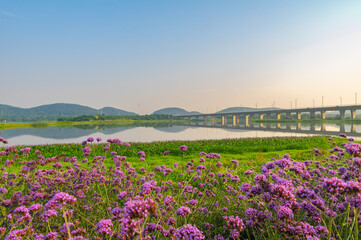 Wuhan Hua Bo Hui Scenic Spot Spring Scenery