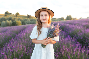 Beautiful young girl in straw boater hat and a white dress collects lavender on lavender field....