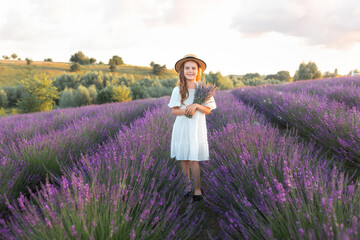Beautiful young girl in straw boater hat and a white dress collects lavender on lavender field. Portrait cute child girl holding lavender bouquet and stands in the middle of lavender bushes. Provence	