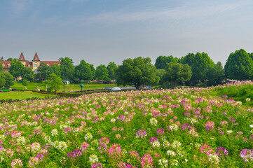 Wuhan Hua Bo Hui Scenic Spot Spring Scenery