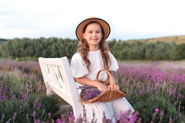 Beautiful small girl in white dress collects lavender on lavender field. Cute child girl in straw boater hat sit on bench in the middle of lavender bushes with basket violet flowers. Provence, France.