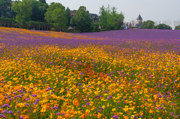 Wuhan Hua Bo Hui Scenic Spot Spring Scenery