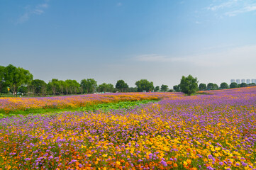 Wuhan Hua Bo Hui Scenic Spot Spring Scenery