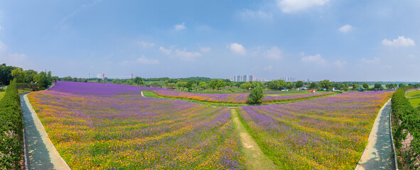 Wuhan Hua Bo Hui Scenic Spot Spring Scenery