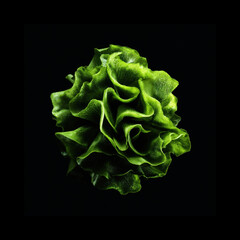 Obraz premium Dark shot of fresh curly lettuce