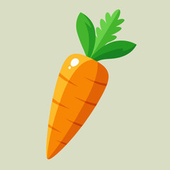 carrot vector illustration