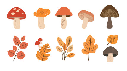 Simple and clean vector icon of a mushroom fruit, minimalist design featuring smooth curves and clear shape, ideal for botanical, organic, food, and nature-related themes in modern flat illustration 