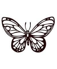 Butterfly, black and white lines