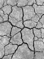 Cracked earth. Large deep chaotic cracks in ground. Natural phenomenon, disaster. Arid agricultural...