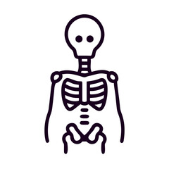 Skeleton drawing in minimal style with simple lines on white background  