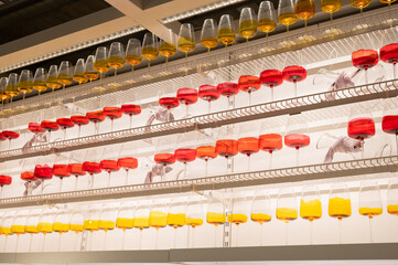 Vibrant wall of red and yellow hanging glass containers in modern art display