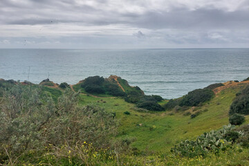 Coastal Cliffs Landscape with Overcast Sky and Lush Greenery