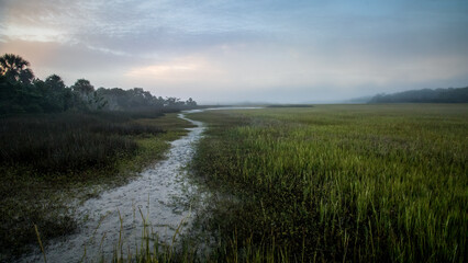A sandy path snaking through the salt marsh on a misty morning