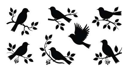 Fototapeta premium Bird Silhouettes on Branches Set of Six Illustrations for Design and Decoration