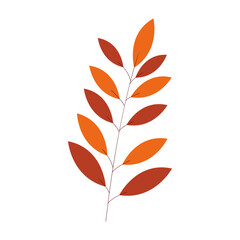 Autumn Leaves Illustrations