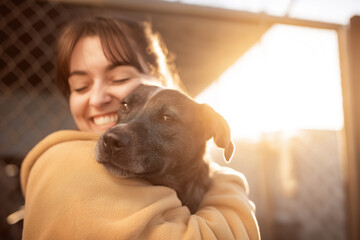 Woman smiles while holding black dog close in a sunny outdoor shelter environment. The warm glow enhances the affectionate bond. Concept of animal rescue, companionship, pet adoption