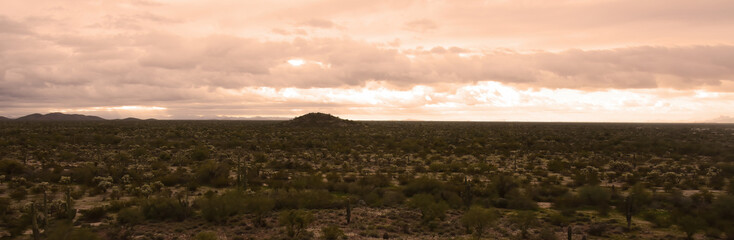 Panorama Landscape Sonoran Desert Arizona
