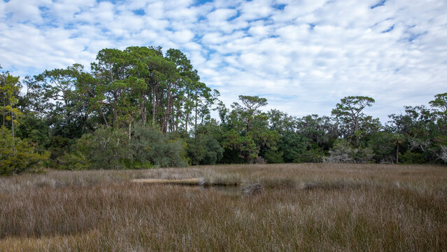 A scenic view of the salt marsh in Fort Mose Historic State Park