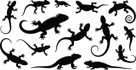 Silhouette Collection of Lizards Different Types of Reptiles, Black Silhouettes on White Background