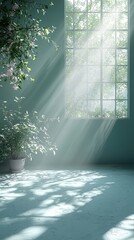 Sunlight streaming through a window onto a potted plant and floor, creating strong shadows and a peaceful atmosphere in an empty room.