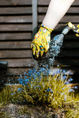 A gardener waters flowers with a hose, showing details of the work and plants. A gardener wearing...