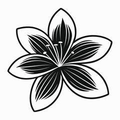 Jasmine Blossom Silhouette Vector Illustration for Nature or Spa Design