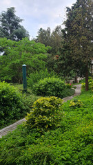 Lush green garden with various shrubs and trees. A winding path leads through the vibrant foliage, creating a serene outdoor space.