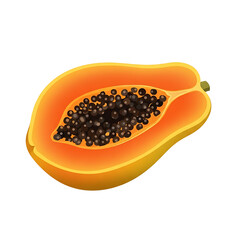 Realistic Papaya Illustration - Isolated for Design, Sweet Tropical Papaya with Visible Pulp and Seeds, Healthy Eating Concept - Sliced Papaya.
