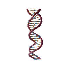 3D Render of DNA Double Helix Structure on Transparent Background