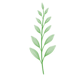 Watercolor cute leaves illustration.