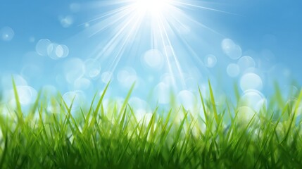 Fototapeta premium Lush green grass thrives under the radiant glow of bright sunshine against a backdrop of clear blue sky, creating a vibrant and refreshing natural scene