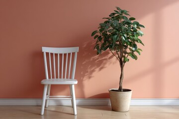 White chair and potted plant against a salmon colored wall indoors