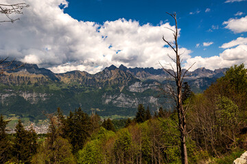 Switzerland, Swiss Alps, Canton St. Gallen, Churfirsten group, Frümsel mountain range, summer....