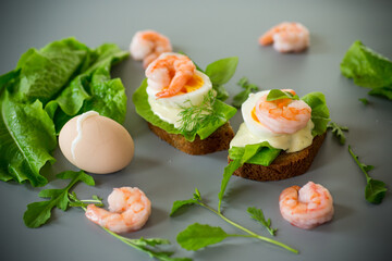 Sandwich with egg and shrimp on gray background from above