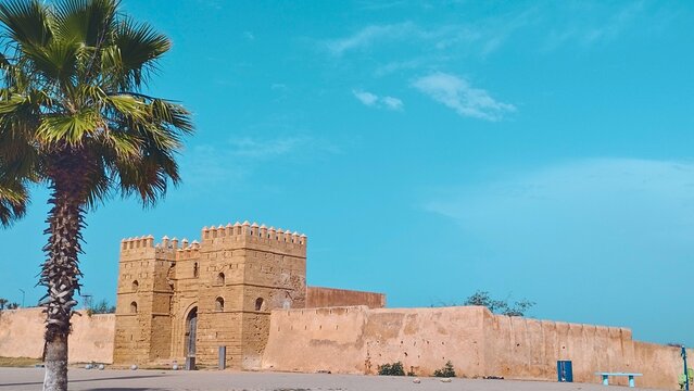 Kasbah Gate and Palm
