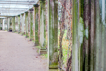 A covered gallery of aged stone columns, weathered with time and adorned with a patina of moss,...