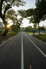 Pathway in green tree city public park sunset light with building