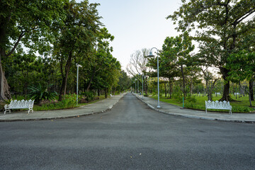 Pathway in green tree city public park sunset light with building