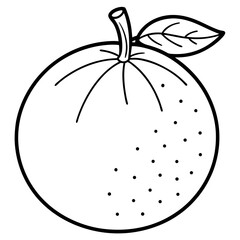 Citrus Fruit Outline Vector