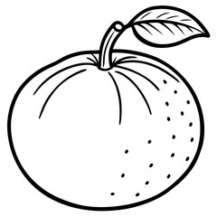 Citrus Fruit Outline Vector