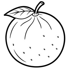 Citrus Fruit Outline Vector