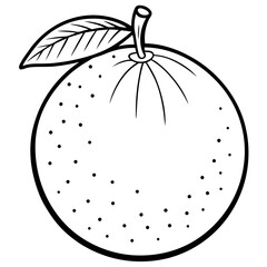 Citrus Fruit Outline Vector