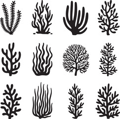 Fototapeta premium Black silhouette coral and seaweed patterns marine life underwater