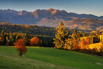 Autumn Landscape with Mountains and Forest